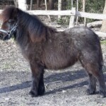 O'Lilly - 31 januari 2021