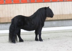 PK 2022 - Foto Leontien Ruissen