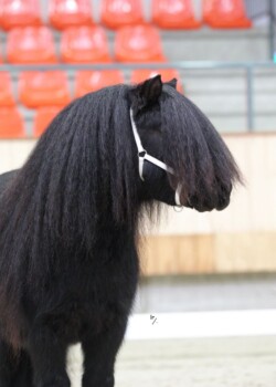 PK 2022 - Foto Leontien Ruissen