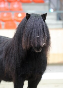 PK 2022 - Foto Leontien Ruissen