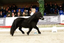 PK 2023 - Foto Leontien Ruissen