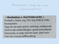 Jurycommentaar - PK 8-1-2022