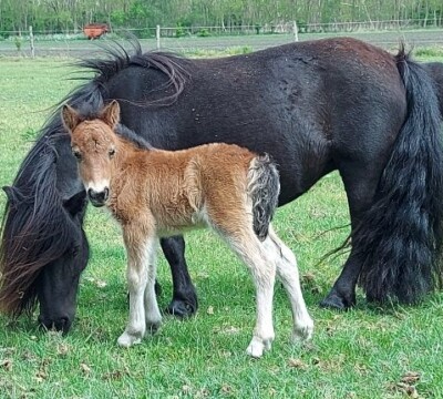 Quilaine - 16 mei 2022