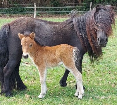 Quilaine - 16 mei 2022