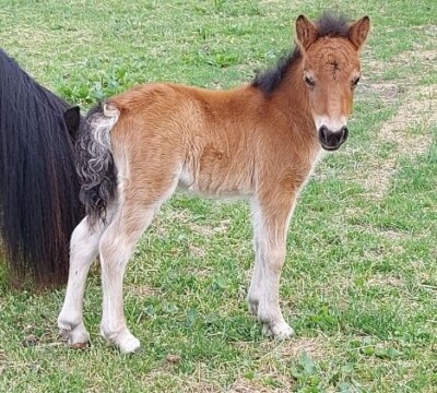 Quilaine - 18 mei 2022