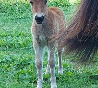 Quilaine - 22 mei 2022