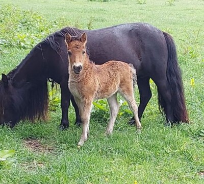 Quilaine - 29 mei 2022