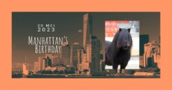 Manhattan 5 jaar oud