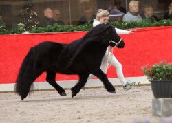 PK 2024 - foto Leontien Ruissen